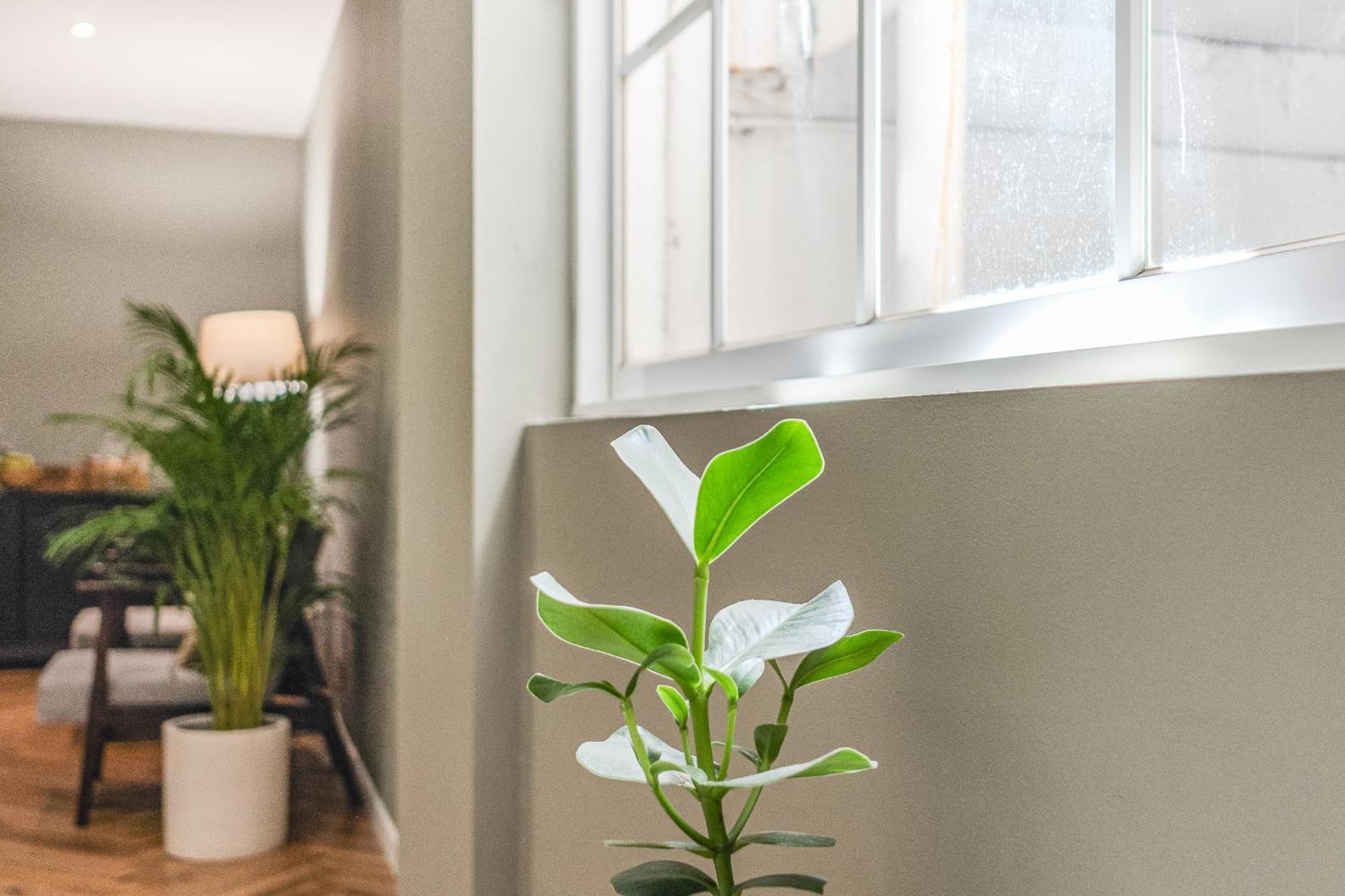 Pensjonat Hygge House 4*